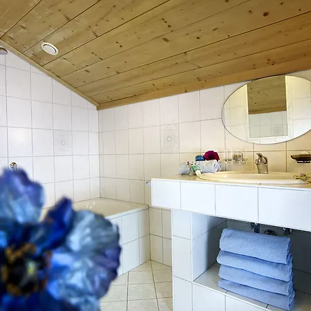 Traube Pettneu am Arlberg