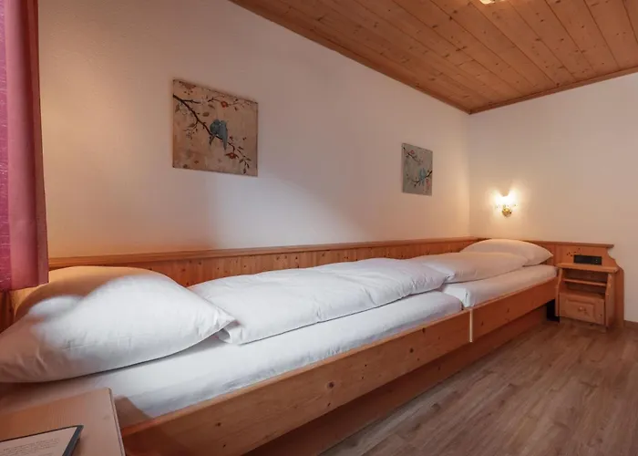 Traube فندق بيتنيو آم أرلبرغ