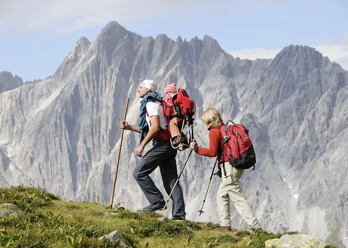 Traube بيتنيو آم أرلبرغ