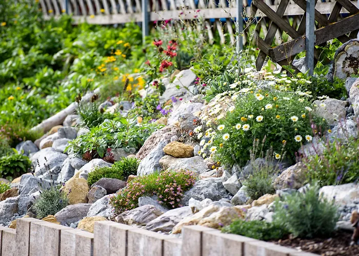 فندق Traube بيتنيو آم أرلبرغ