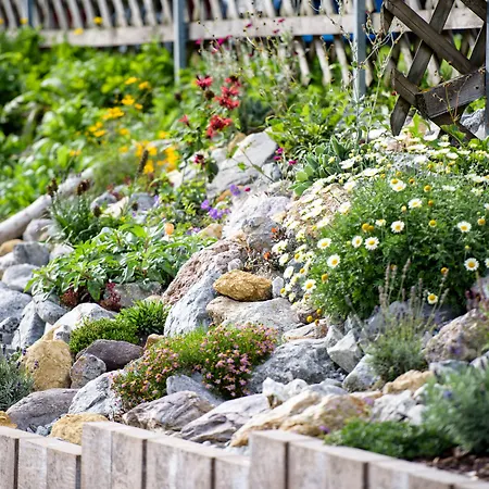 מלון Traube פרטנאו